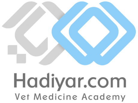 HADIYAR Footer Logo