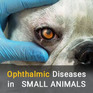 چشم پزشکی حیوانات خانگی