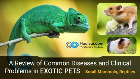 بیماری ها و مشکلات بالینی حیوانات اگزوتیک