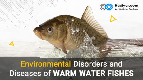 عوارض و بیماری های محیطی ماهیان گرمابی