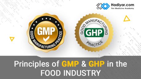 GMP و GHP در صنایع غذایی