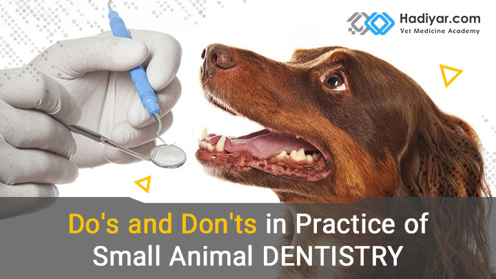 باید ها و نبایدها در طبابت دندانپزشکی حیوانات خانگی