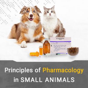 مبانی فارماکولوژی در سگ و گربه