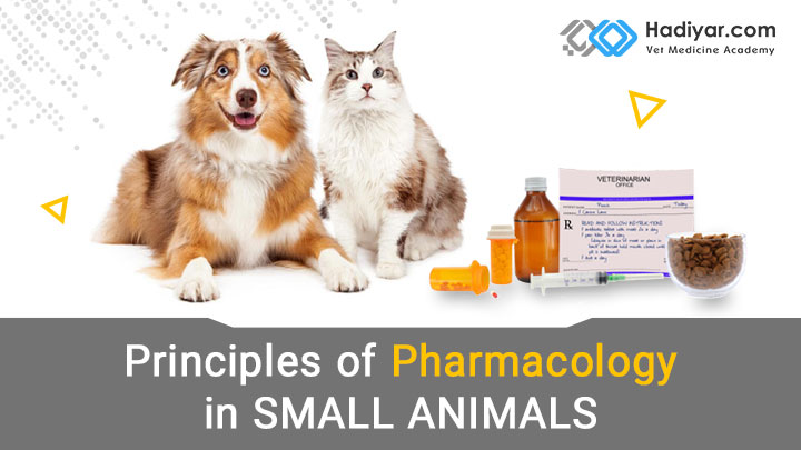 اصول فارماکولوژی در حیوانات کوچک
