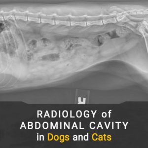 رادیولوژی محوطه شکمی در حیوانات خانگی