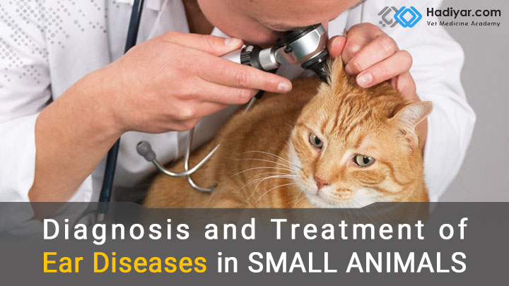 بیماری های گوش در حیوانات خانگی
