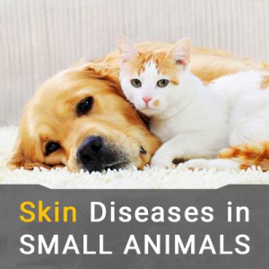 بیماری های پوست در سگ و گربه