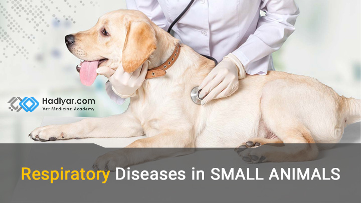 بیماری های دستگاه تنفس در حیوانات خانگی