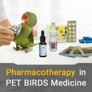 دارو درمانی در پرندگان خانگی