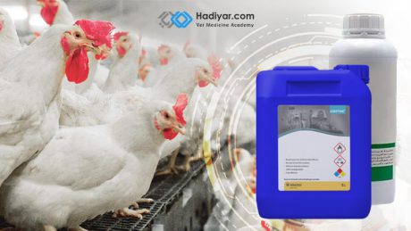 کاربرد ضدعفونی کننده ها در مرغداری های صنعتی