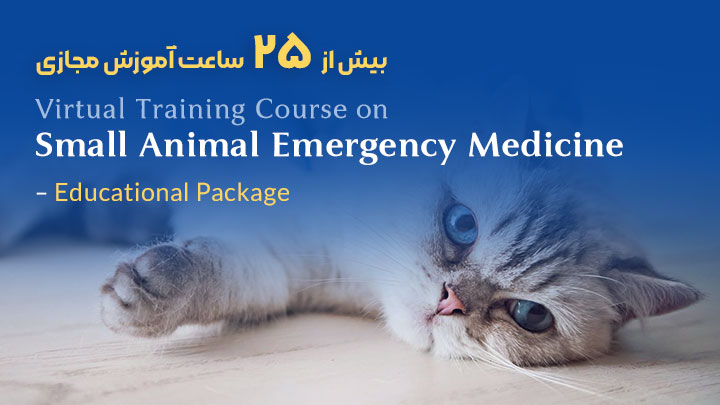 طب اورژانس در حیوانات خانگی