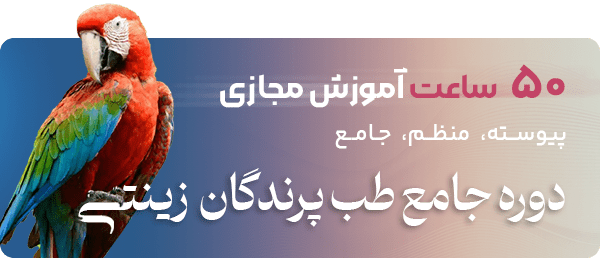 دوره جامع آموزشی طب پرندگان زینتی