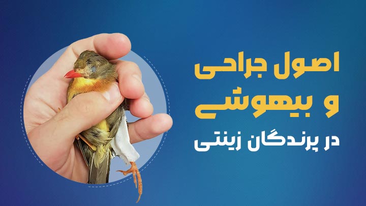 اصول بیهوشی و جراحی در پرندگان زینتی