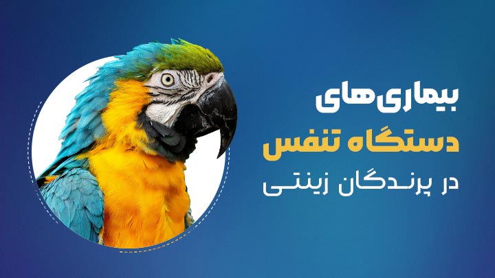 بیماری های دستگاه تنفس در پرندگان زینتی