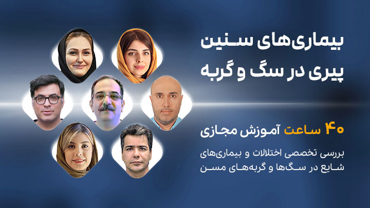 بیماری‌های سنین پیری در سگ و گربه