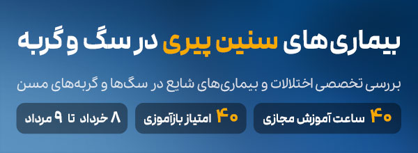 بیماری‌های سنین پیری در حیوانات خانگی