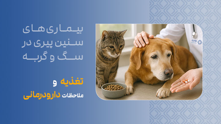 تغذیه و ملاحظات دارودرمانی در سگ‌ها و گربه‌های مسن