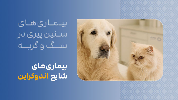 بیماری‌های شایع اندوکراین در سگ‌ها و گربه‌های مسن