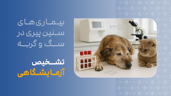 نکات کلیدی در تشخیص آزمایشگاهی بیماری‌های سنین پیری در سگ و گربه