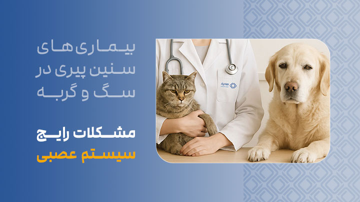 مشکلات رایج سیستم عصبی در سگ‌ها و گربه‌های مسن
