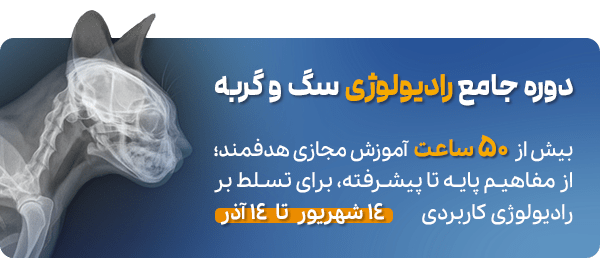 دوره رادیولوژی سگ و گربه