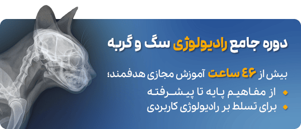 دوره رادیولوژی سگ و گربه